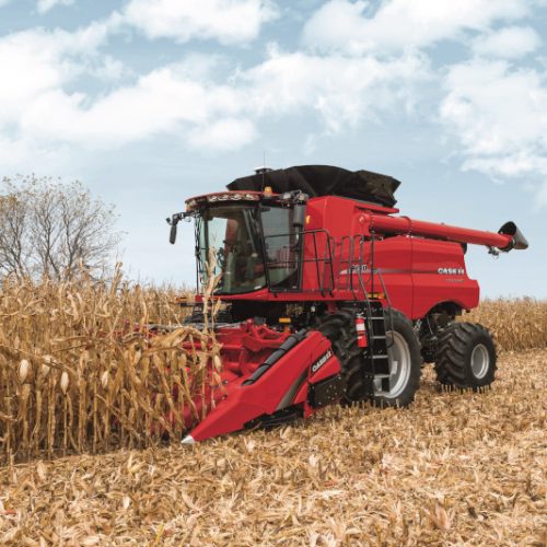 CASE IH 4206 Corn Head - Sonsray Machinery Agriculture